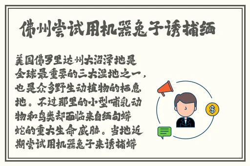 蓝莓视频成品人app下